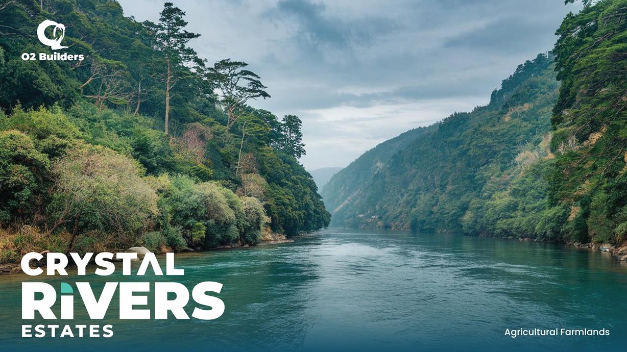 Forbes Global Properties